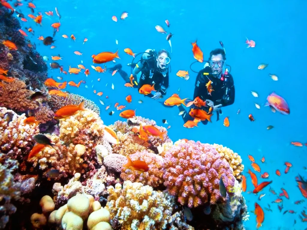 ktour-nha-trang-binh-hung-lan-bien-hon-sam