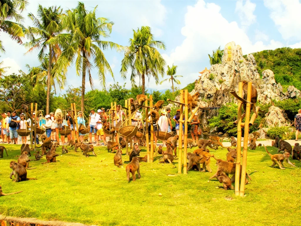 ktour-nha-trang-dao-khi-suoi-hoa-lan (11)