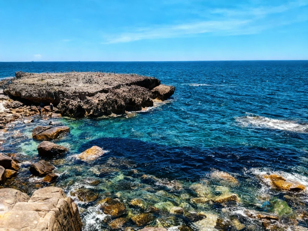 ktour-nha-trang-hang-rai-ninh-thuan