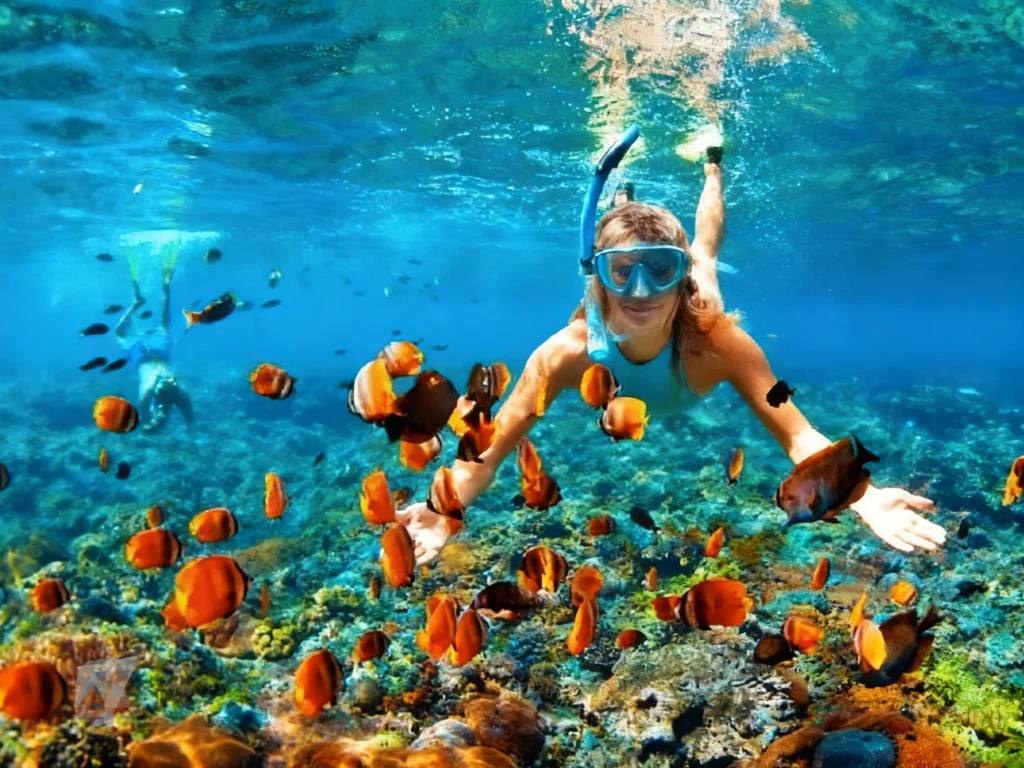 ktour-nha-trang-lan-bien-nha-trang-1