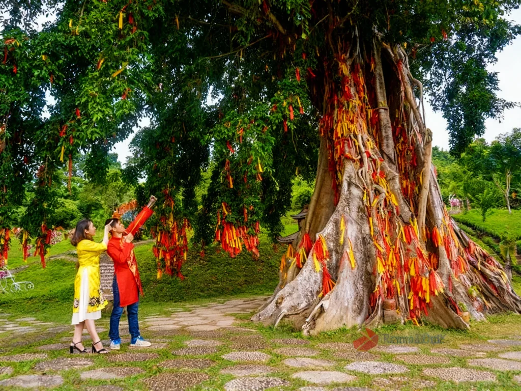 Tour-Yang-Bay-Nha-Trang-10-moc-than